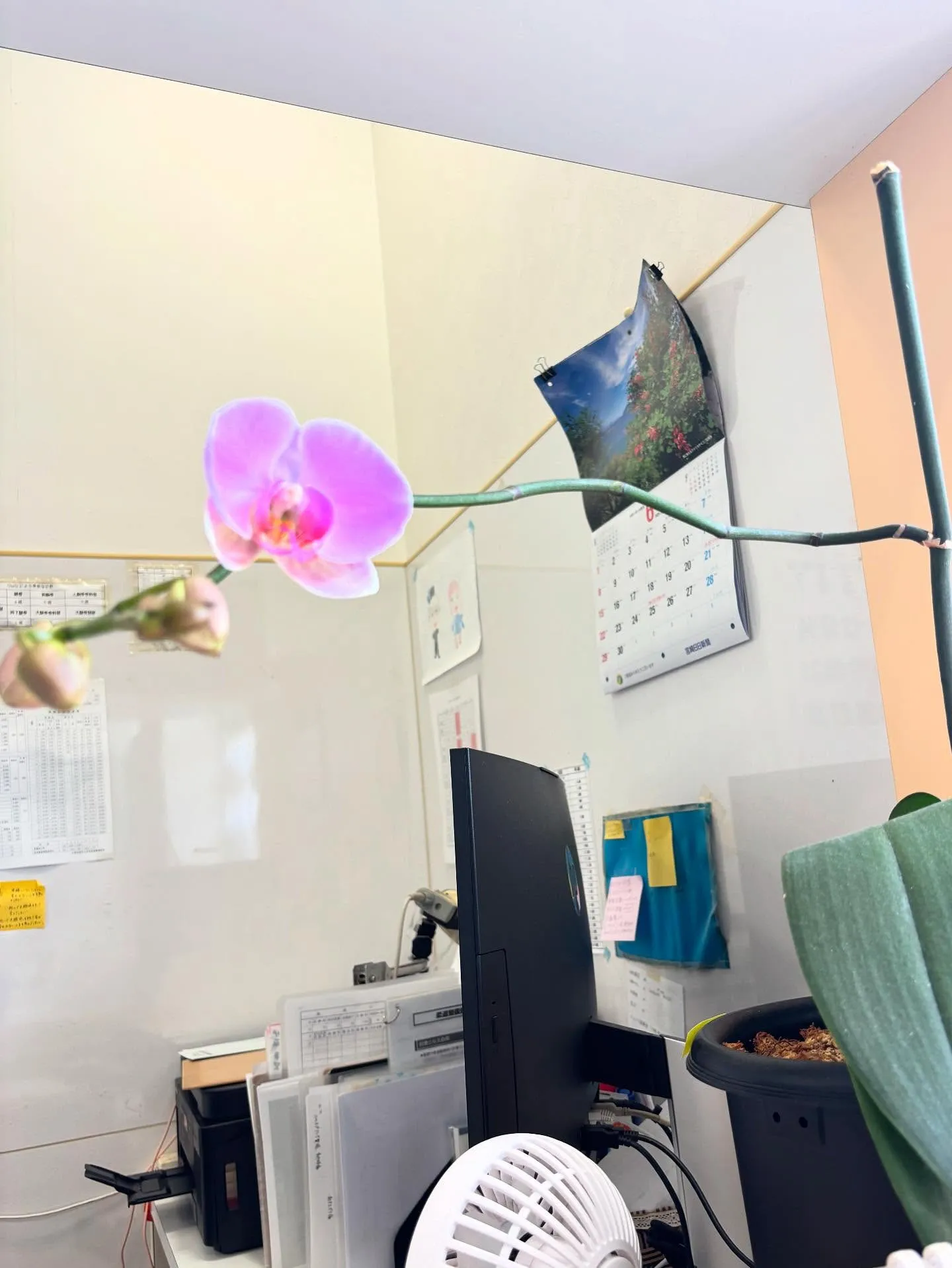 おはようございます☀